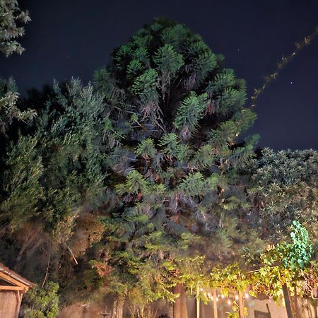 La Araucaria Cabana Con Tinaja Сан-Фелипе Экстерьер фото